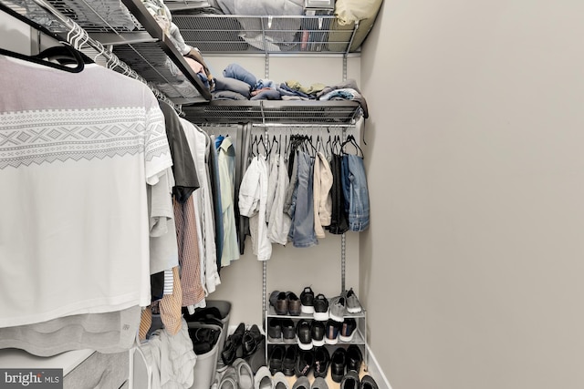 view of spacious closet