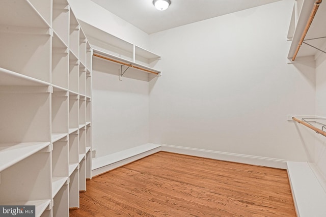 walk in closet featuring hardwood / wood-style floors