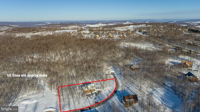 35 Blue Mountain Vw, Mc Henry, MD 21541 - snowy aerial view featuring a mountain view
