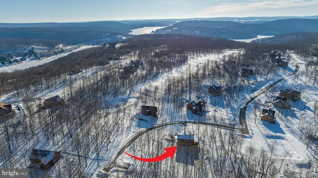 35 Blue Mountain Vw, Mc Henry, MD 21541 - snowy aerial view featuring a mountain view