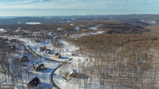 35 Blue Mountain Vw, Mc Henry, MD 21541 - snowy aerial view featuring a mountain view