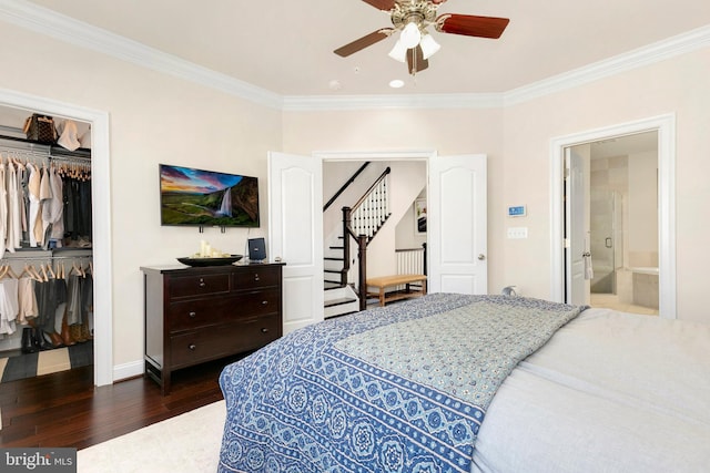 bedroom with crown molding, dark hardwood / wood-style floors, a closet, and a spacious closet