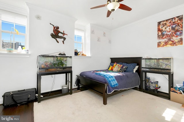 bedroom with multiple windows, hardwood / wood-style floors, ornamental molding, and ceiling fan