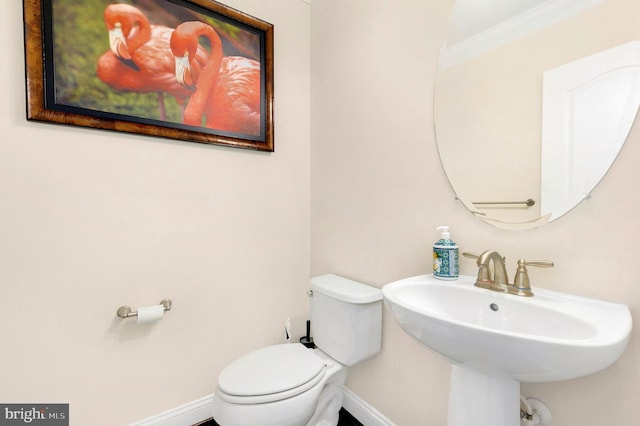 bathroom featuring ornamental molding, toilet, and sink