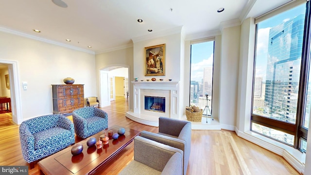 living room with crown molding, plenty of natural light, and light hardwood / wood-style floors