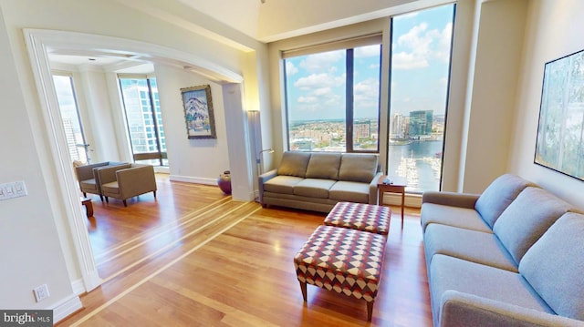 living room with a healthy amount of sunlight and light wood-type flooring