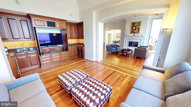 living room featuring light hardwood / wood-style flooring