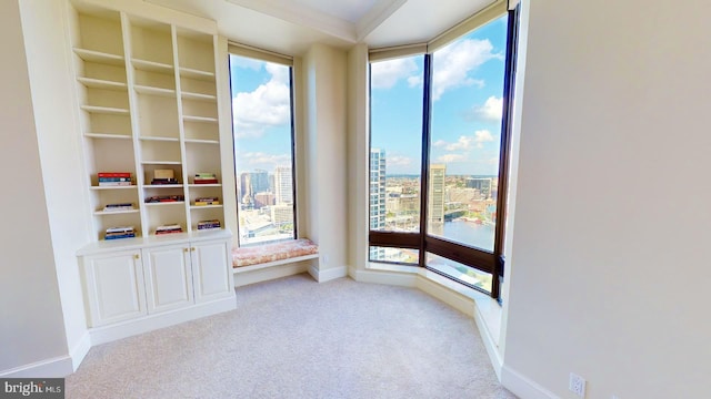 spare room featuring light colored carpet