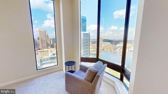 sitting room with light colored carpet and a water view