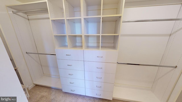 spacious closet with carpet