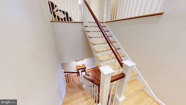 stairs featuring hardwood / wood-style flooring