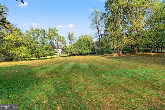 view of yard