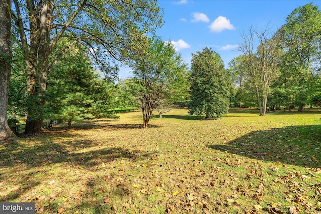 view of yard