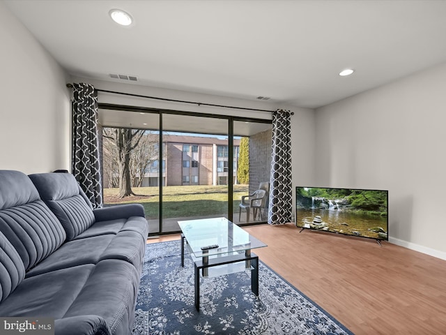 living room featuring wood-type flooring