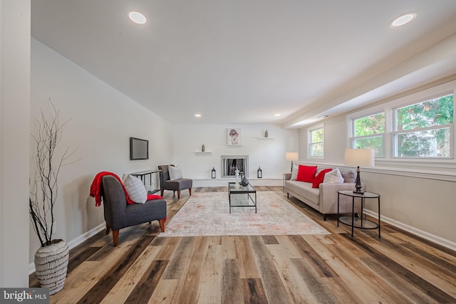 living room featuring wood-type flooring