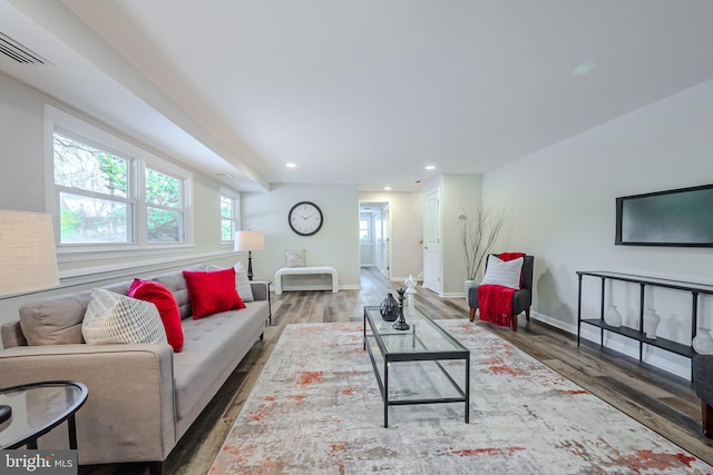 living room featuring wood-type flooring