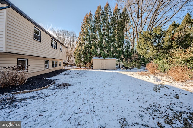 yard covered in snow with a storage unit