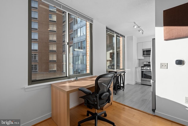 office area featuring light hardwood / wood-style floors and a healthy amount of sunlight