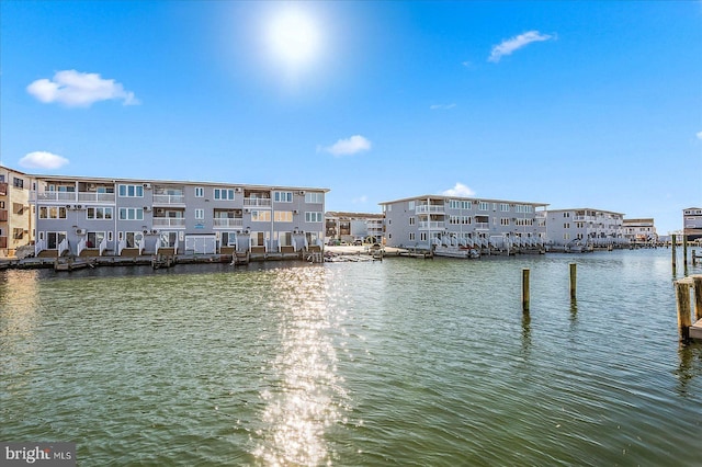 dock area with a water view