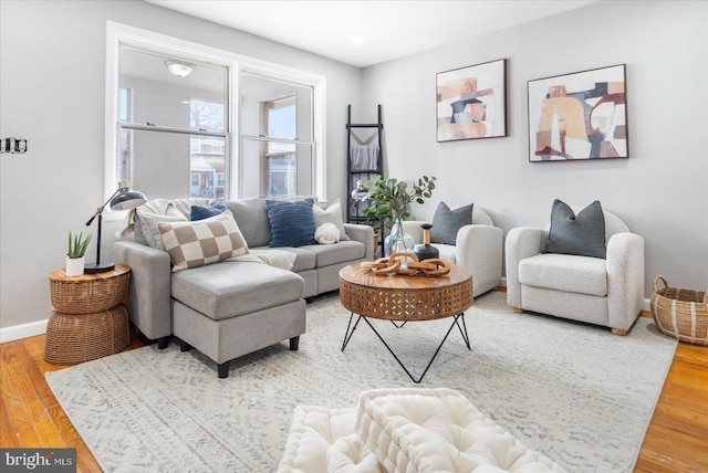 living room featuring wood-type flooring