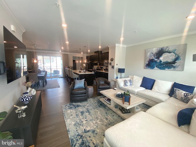 living room featuring crown molding and dark hardwood / wood-style floors