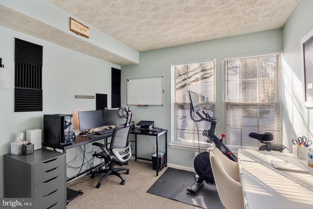 office with light carpet, a wealth of natural light, and a textured ceiling