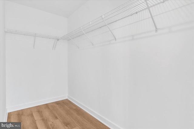 spacious closet with wood-type flooring