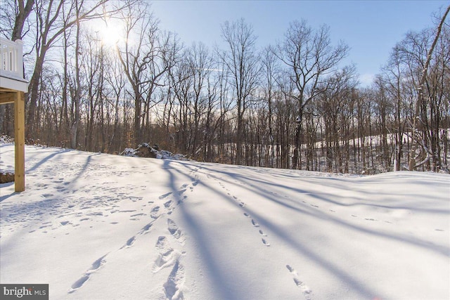 view of snowy yard