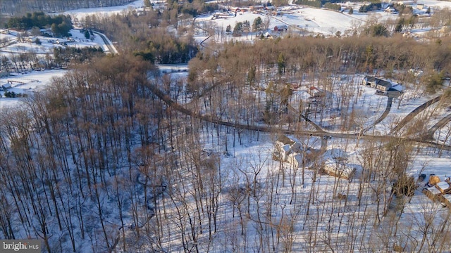 view of snowy aerial view