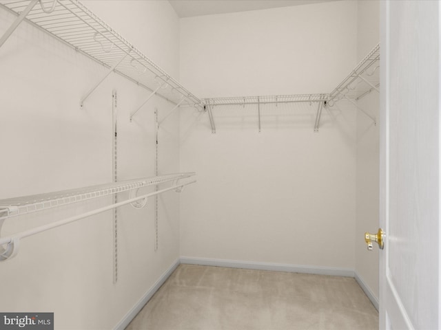 walk in closet with light carpet