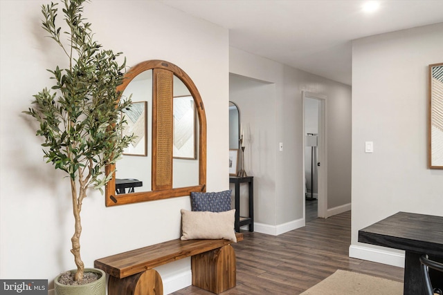 living area with dark hardwood / wood-style floors