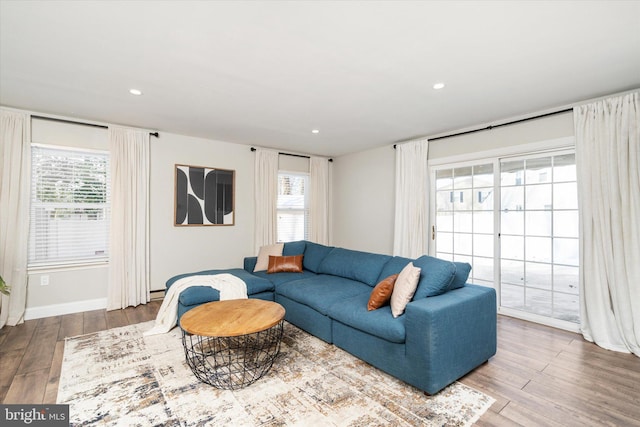 living room with a healthy amount of sunlight, hardwood / wood-style floors, and baseboard heating