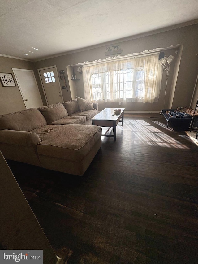 living room featuring ornamental molding and dark hardwood / wood-style flooring