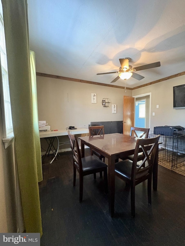 dining space with ornamental molding, dark hardwood / wood-style floors, and ceiling fan