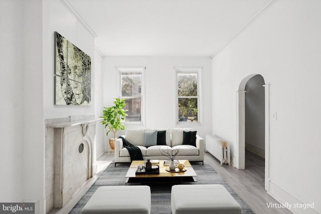 living room featuring crown molding, radiator, and hardwood / wood-style floors