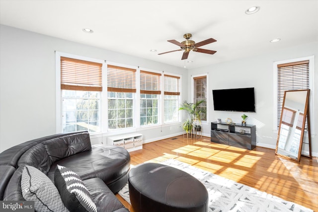 living room featuring ceiling fan and light hardwood / wood-style floors