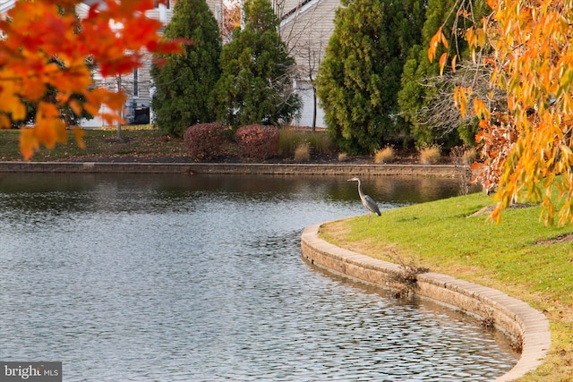 view of water feature