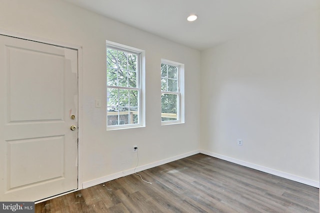 foyer featuring dark wood-type flooring