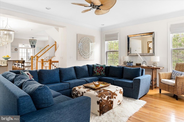 living room with ceiling fan with notable chandelier, a wealth of natural light, ornamental molding, and light wood-type flooring