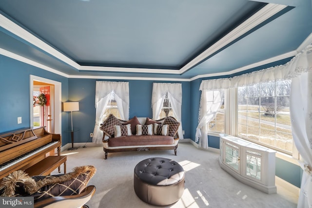 interior space featuring crown molding and a raised ceiling