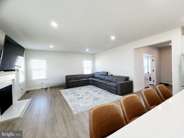 living room with plenty of natural light and light hardwood / wood-style flooring