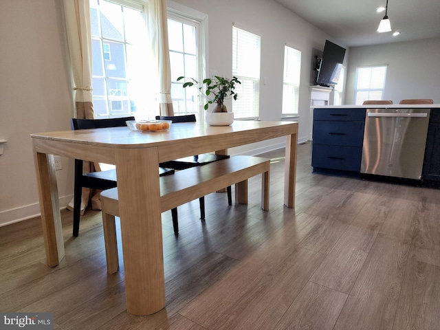 dining space featuring wood-type flooring