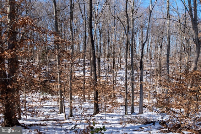 view of snowy view