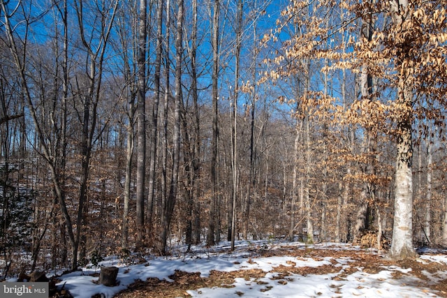 view of snow covered land