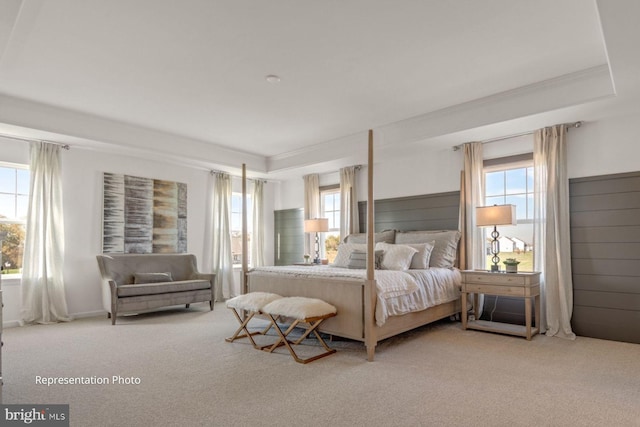 bedroom featuring a tray ceiling, carpet floors, and multiple windows