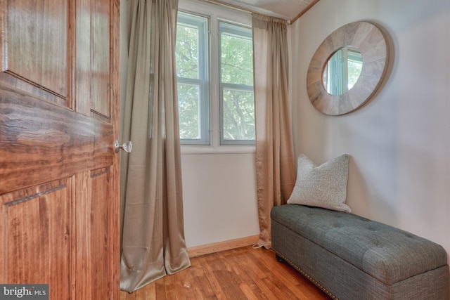 sitting room featuring light wood-style flooring, baseboards, and a wealth of natural light