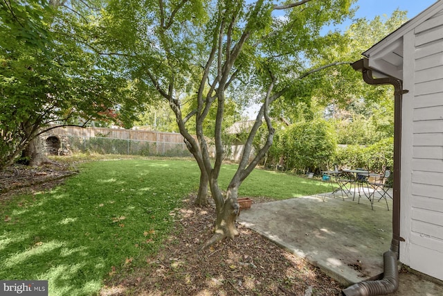 view of yard with a fenced backyard and a patio