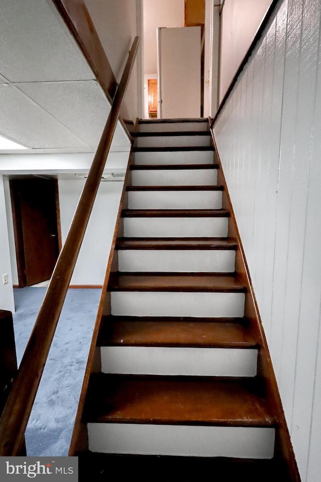 staircase with carpet flooring