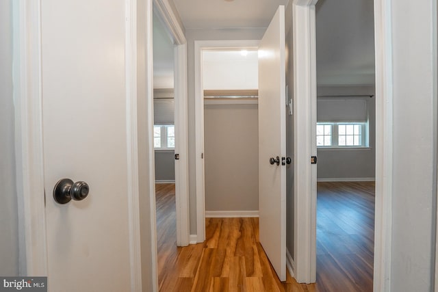 hallway with light hardwood / wood-style flooring