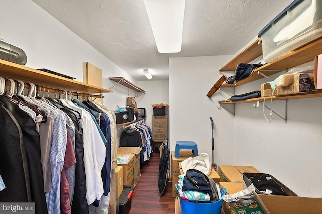 walk in closet with dark wood-type flooring